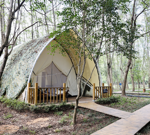  蘑力森林露营基地