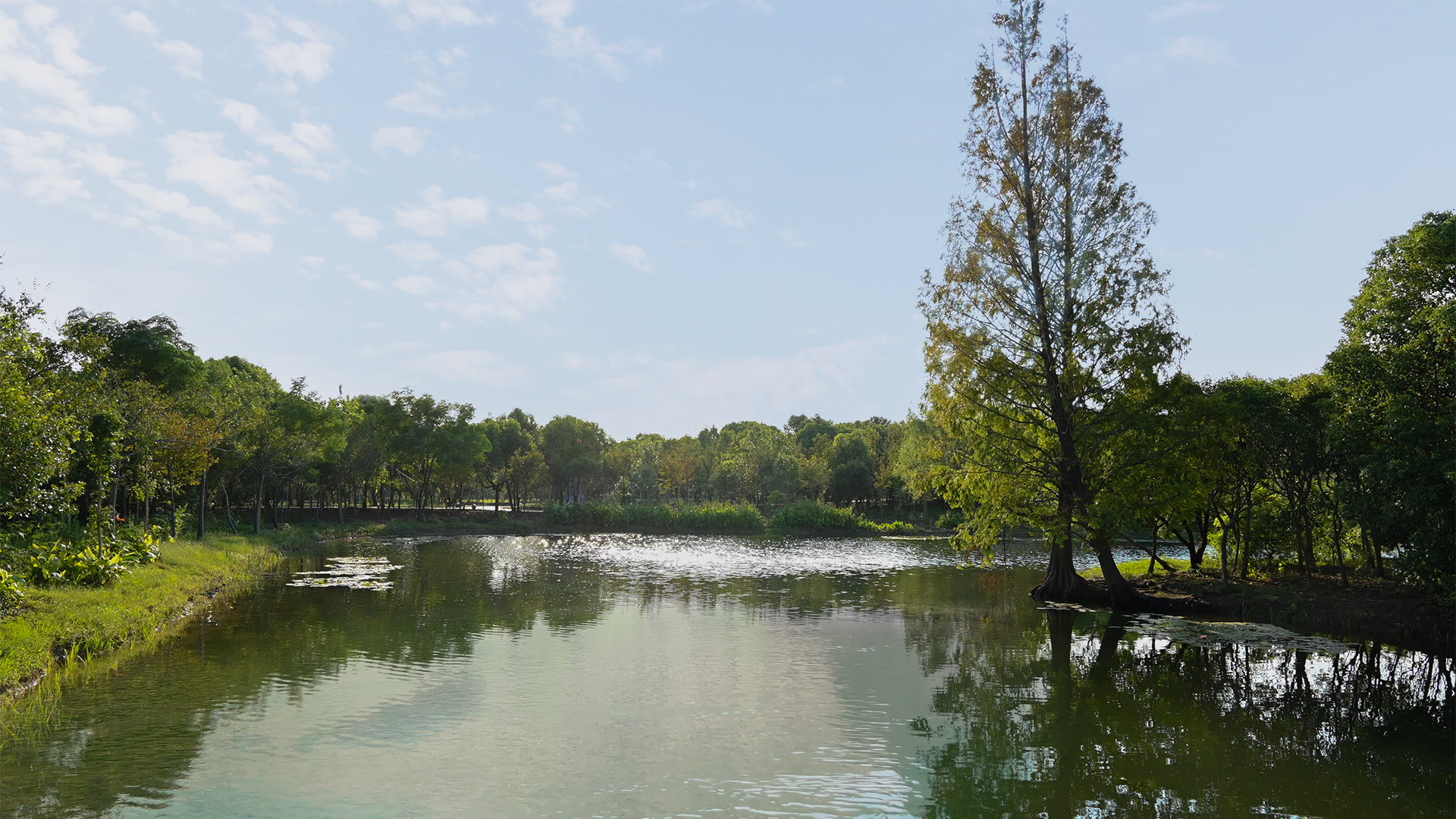 06 庆浜绿影_.jpg