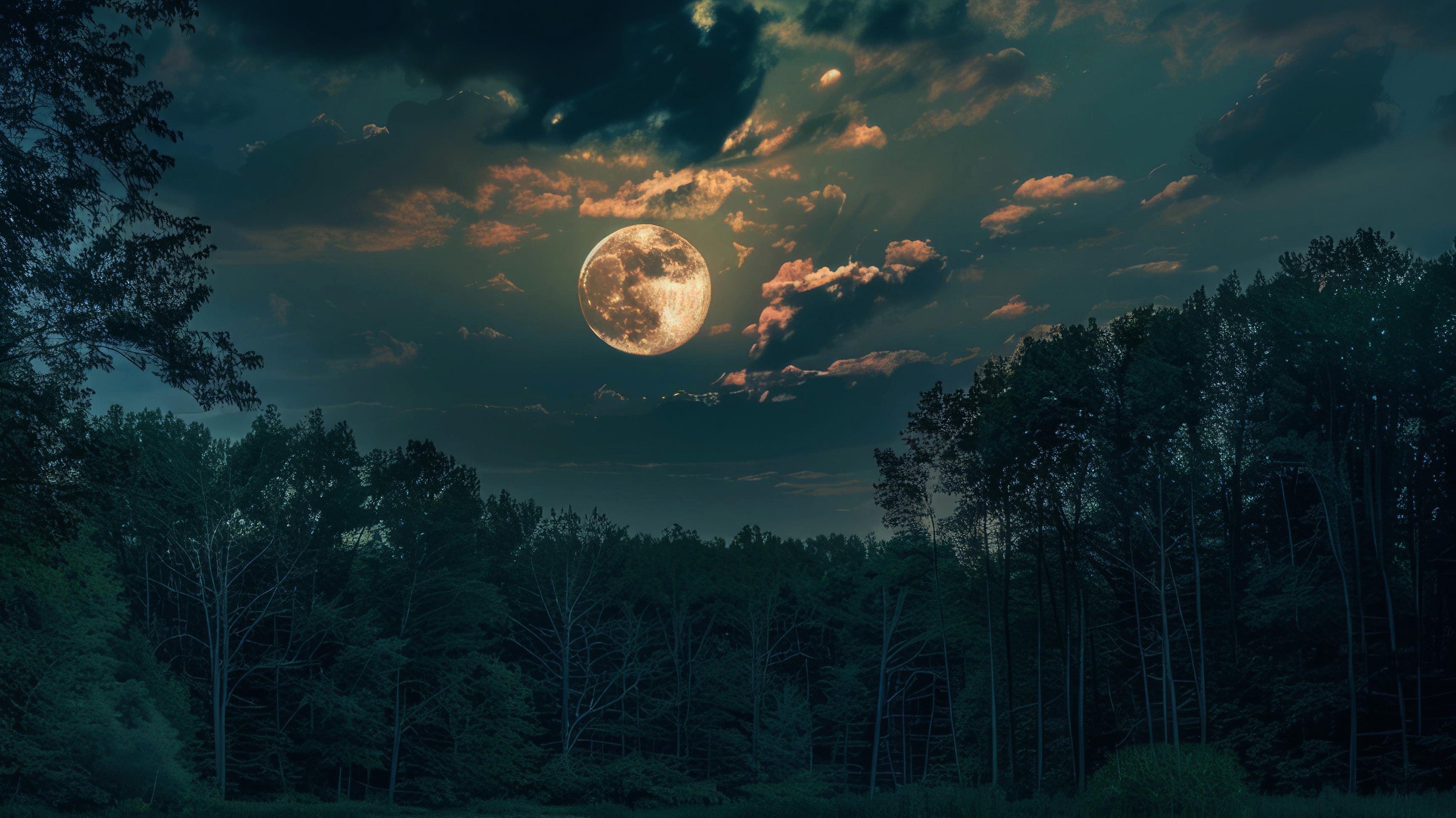 03长美观月01 (1).jpg